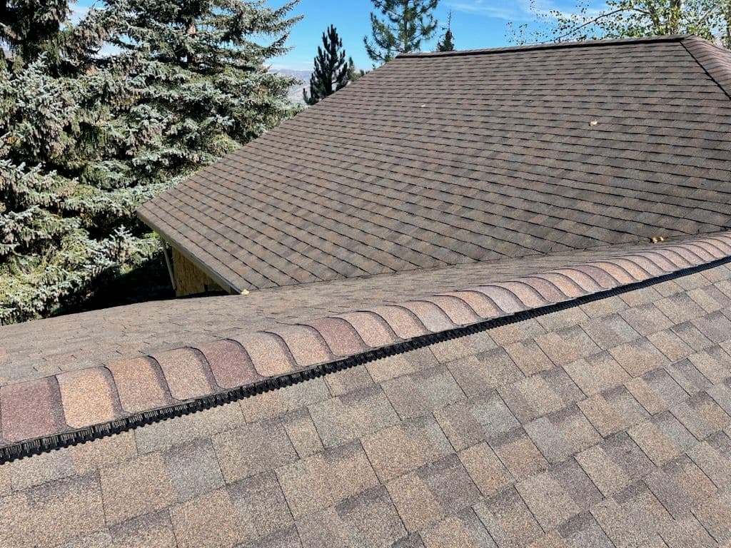 Rooftop Expertise in Eden image